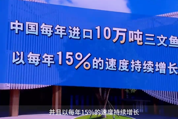 <a href="./xwzx/gzdt/202601/t20260126_747880.html">弘扬花湖精神 奋力建成支点（五）</a>